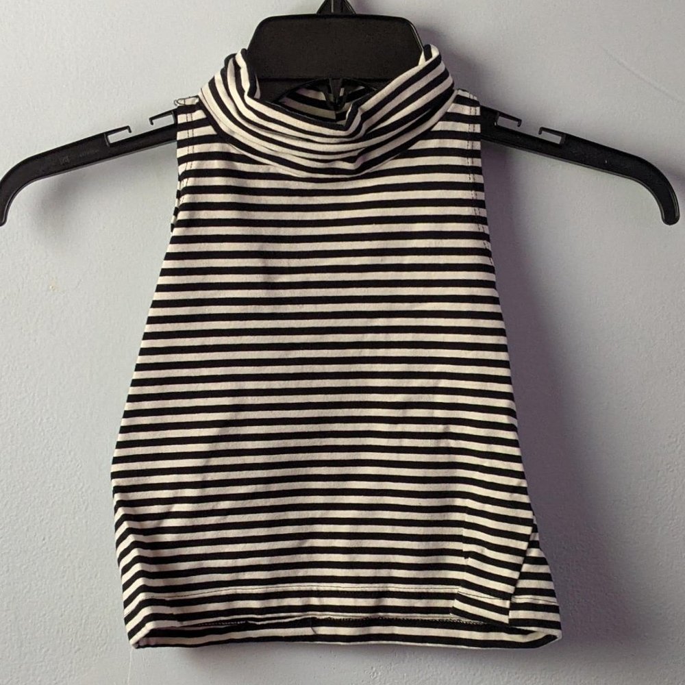 Striped Turtleneck Croptop
